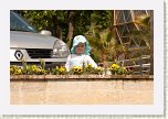 10 - 01 La Gradina Botanica din Jibou * 640 x 428 * (87KB)